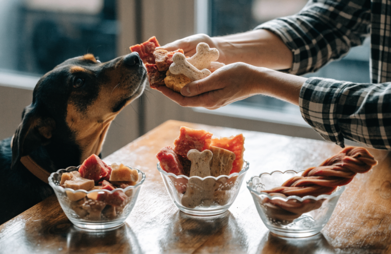 Dog Training Treats: Compare Size, Texture, and Calories
