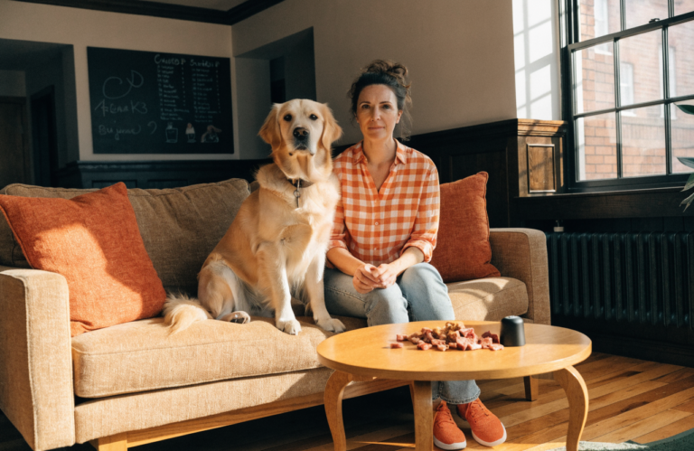 How to Train Your Dog: 7 Simple Steps for Beginners