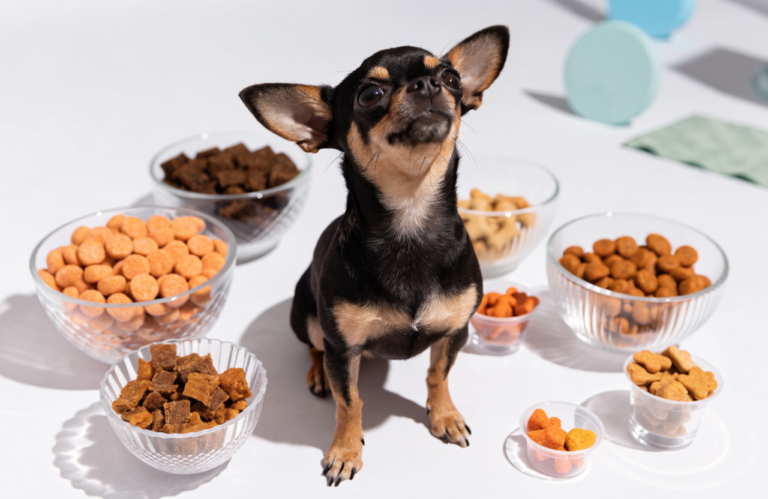 Chihuahua Training Treats: 7 Small-Bite Options to Compare