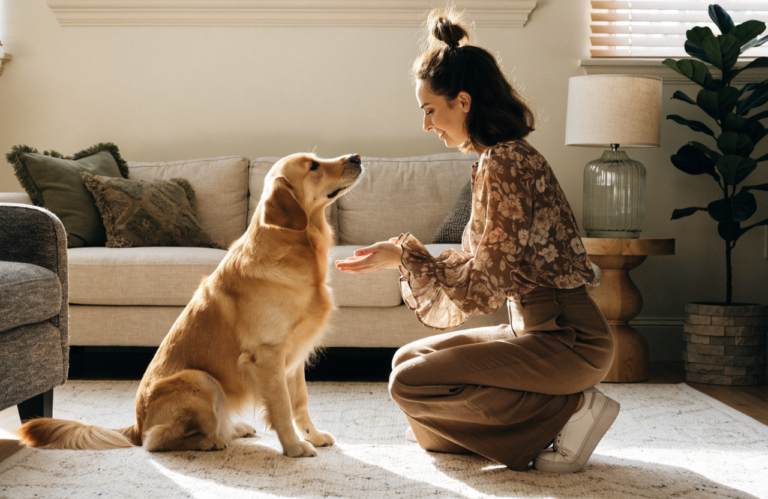 How to Say Sorry to Your Dog: 7 Ways They Understand You