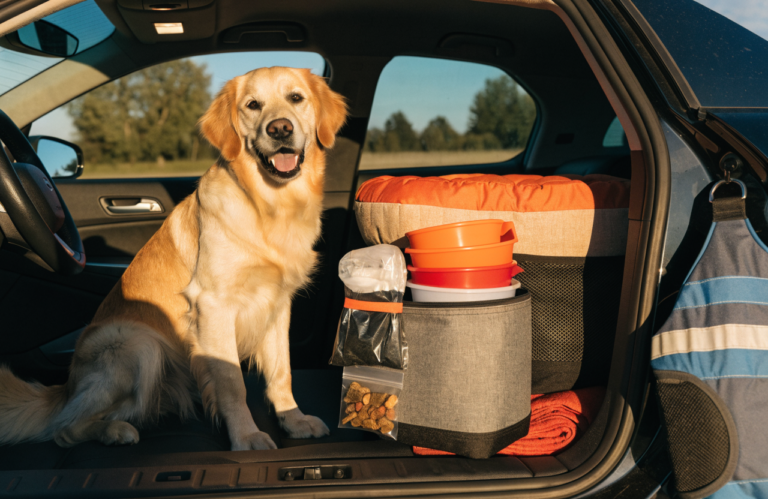 Dog Travel Checklist: 25 Things to Pack for a Road Trip